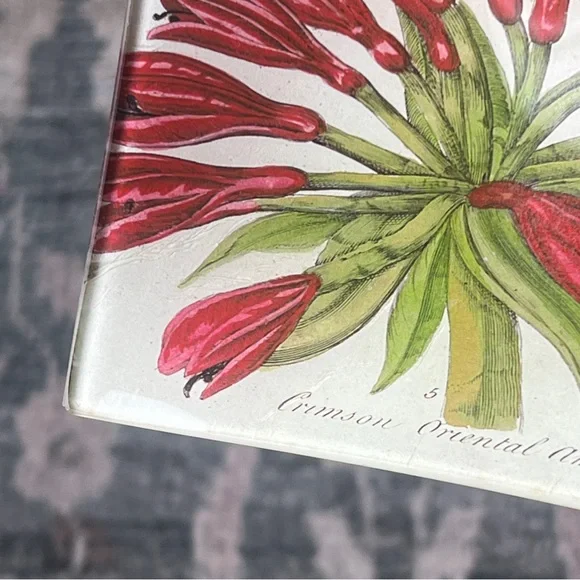 🆕 SIGNED John Derian Floral Print Dish Tray Plate Catch All Design Hanging Art - Picture 8 of 13